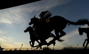 Woodbine Thor Action 2011