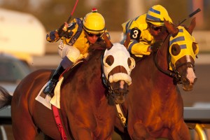 Pender Harbour (left) winning the 2014 $125,000 OLG Elgin Stakes August 27 at Woodbine. Michael Burns Photo