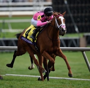Lexington, KY - Keeneland - Catch A Glimpse with Florent Geroux aboard wins the $1 Million Breeders' Cup Juvenile Fillies Turf for trainer Mark E. Casse and owner Gary Barber, Michael James Ambler & Windways Farm (Jeff Begg) here today, Friday October 30, 2015 during the Breeders' Cup World Thoroughbred Championships. Photo by © Breeders' Cup/Austin Lassell 2015