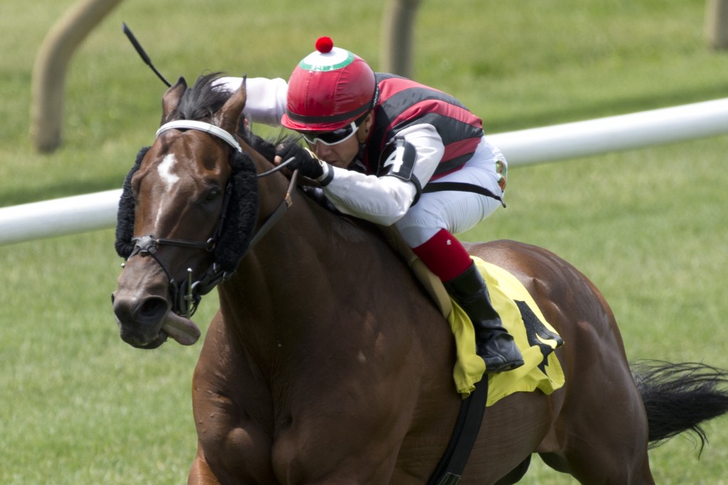 June 10, 2016 - Fireball Merlin victory in the 1st Euro Turf race at Woodbine Racetrack over the E.P.Taylor turf course for owner Gustav Schickedanz and trainer Michael Keogh - Michael Burns Photo
