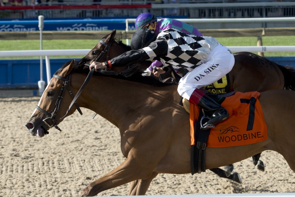 June 12, 2016 - Woodbine Racetrack - Jockey Eurico Da Silva guides Neshama to victory in the 61st running of the $500,000 dollar Woodbine Oaks at Woodbine Racetrack - Nesham is owned by Carnegie Hill Stable,Kingfield Racing Stable,Anderson Farms Ontario Inc. and John Fielding (JCC Member) Neshama is trained by Catherine Day Phillips (JCC Member) - Michael Burns Photo