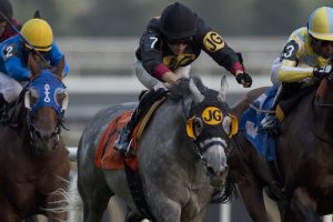 Hampstead Heath looks to win his third straight, Halton - Michael Burns Photo