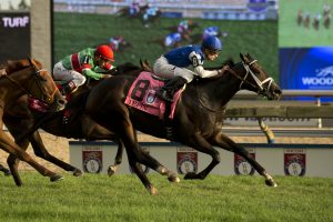 Tepin - Woodbine Mile - Micheal Burns Photo