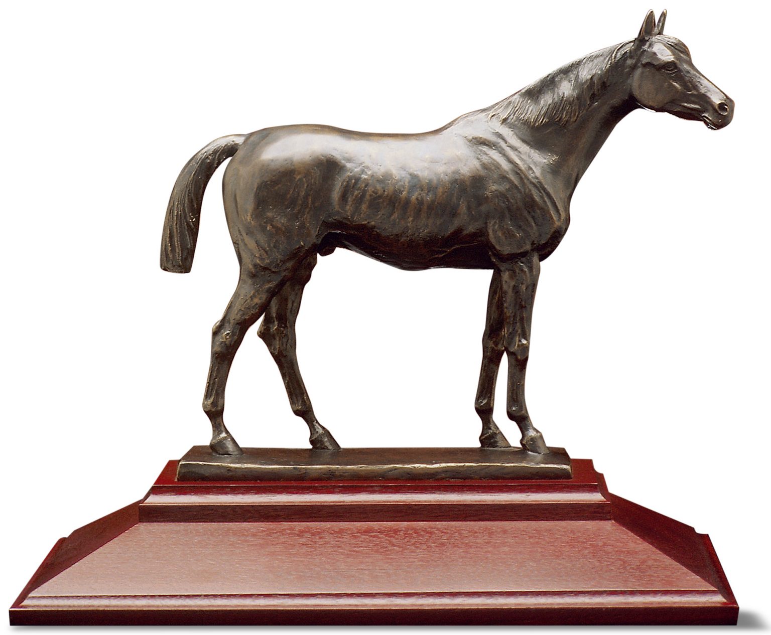 Online Payments The Jockey Club Canada